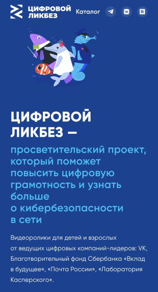 Пресс-релиз «Цифровой ликбез».