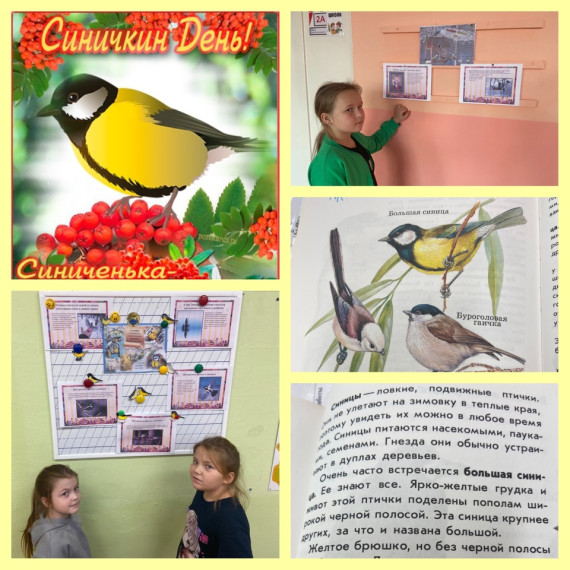 Синичкин день.